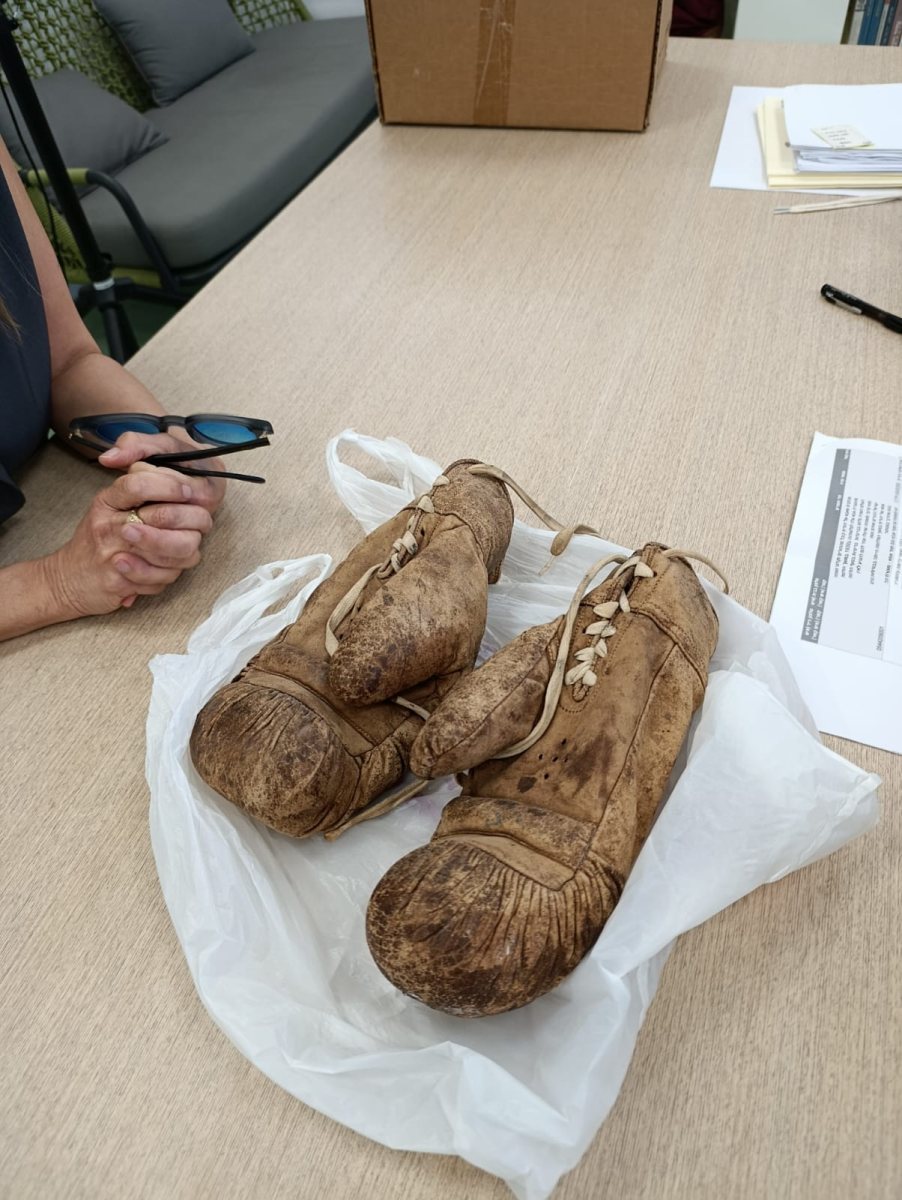 כפפות האגרוף של חיים שפיגלמן ז"ל