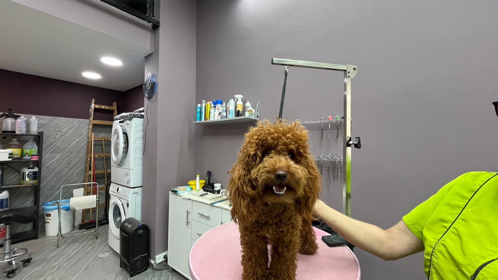 סאנפט ציוד ומזון לבעלי חיים