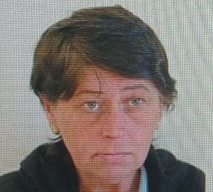 הנעדרת לורה מרמלשטיין