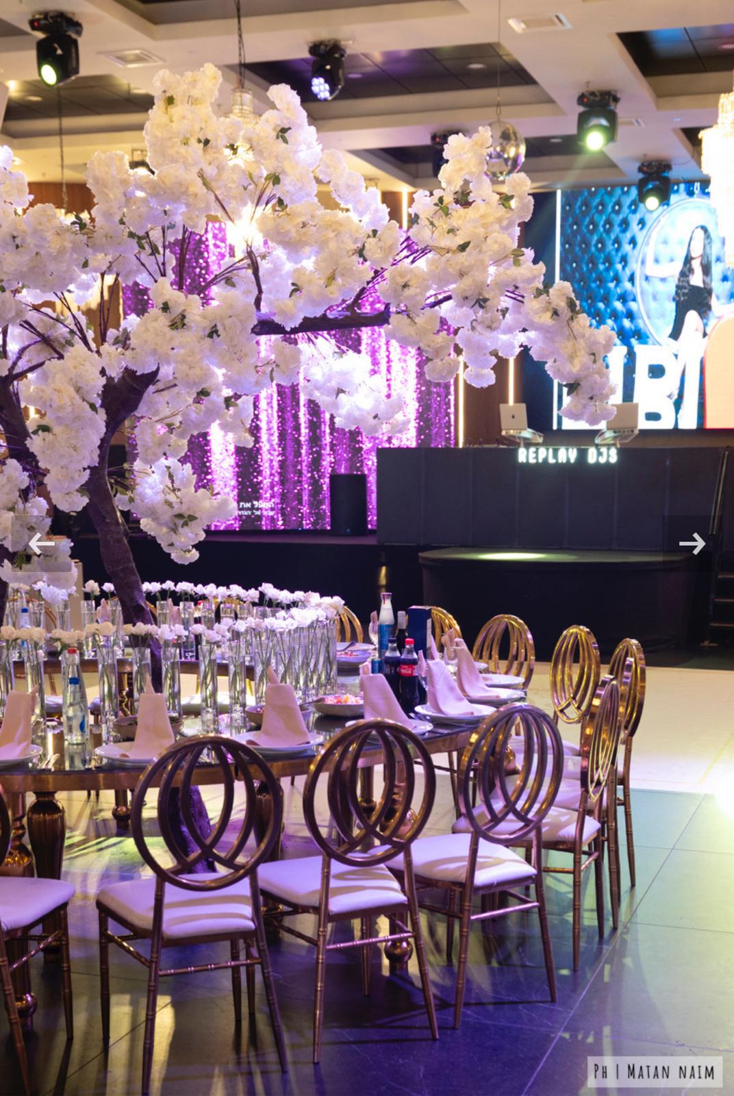 אולם אירועים לאונרדו אשדוד צילום מתן נעים