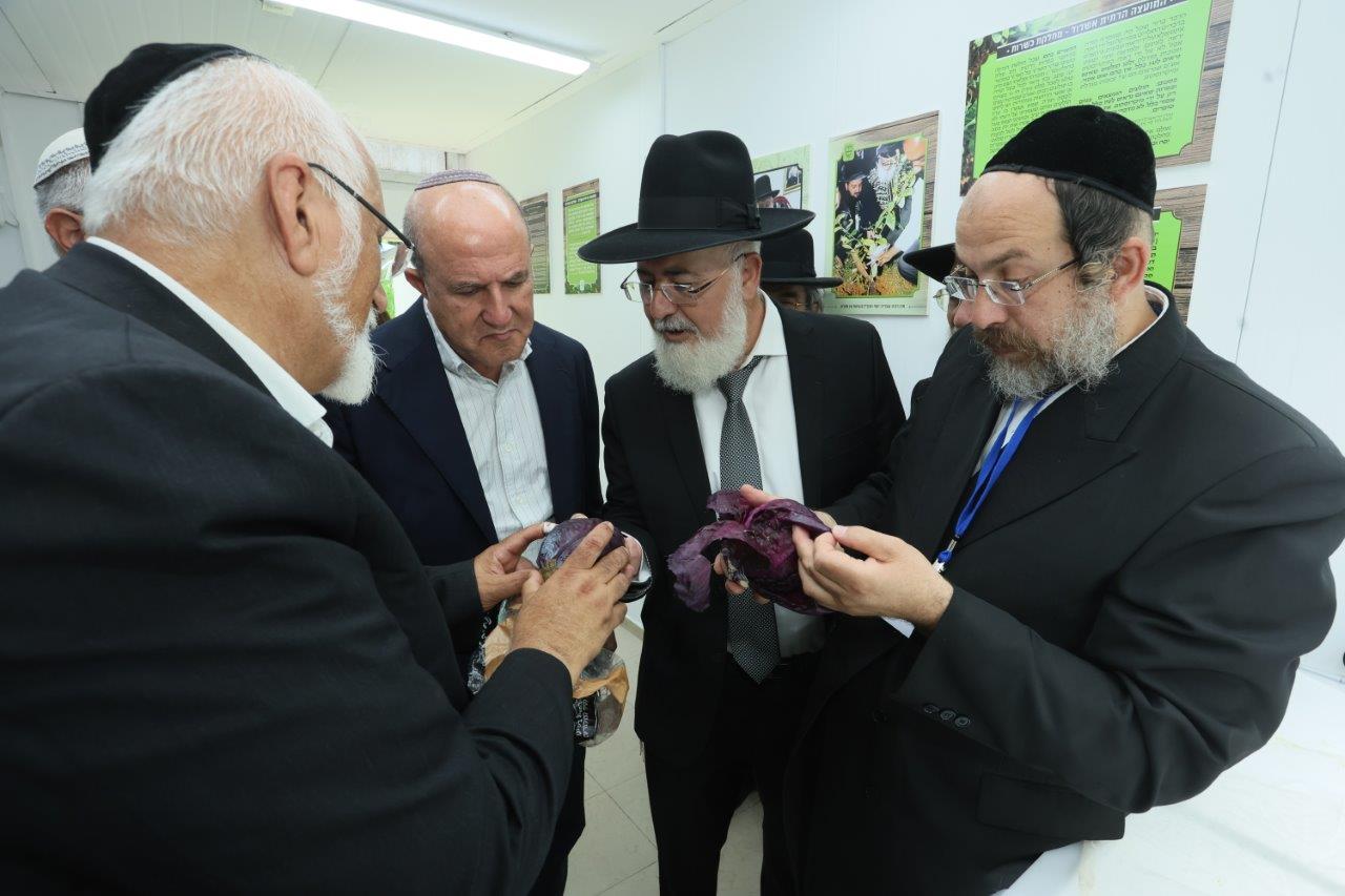 צילום: המועצה הדתית אשדוד