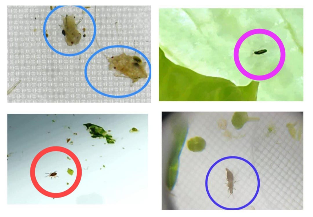 צילום: המועצה הדתית אשדוד