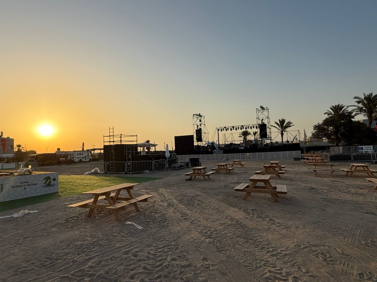 צילום: שמואל דוד