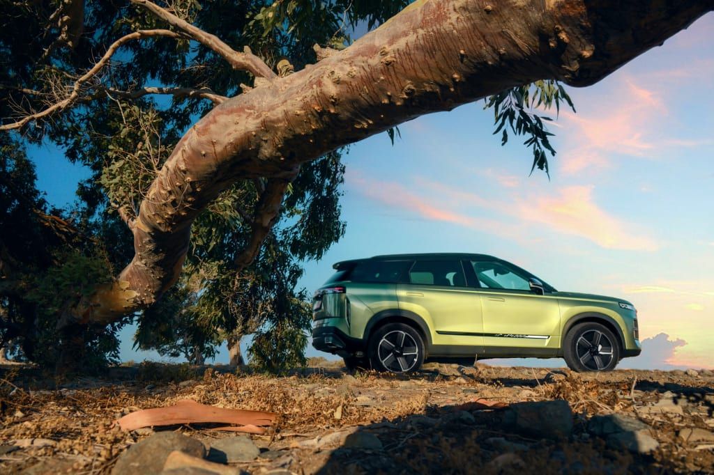 קרדיט התמונה: jaecoo.co.il