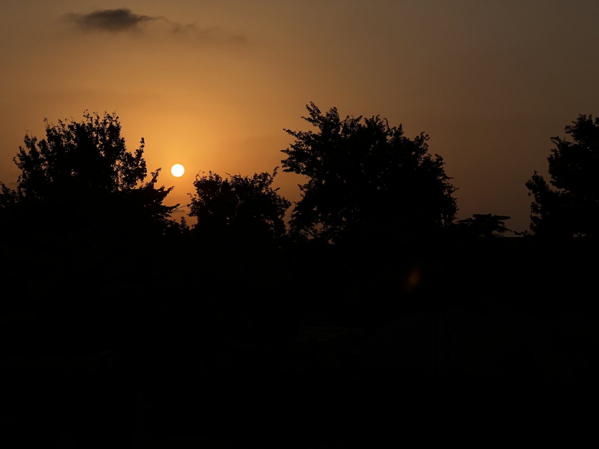 תמונת המוצ״ש שלי.צילום אורי קריספין