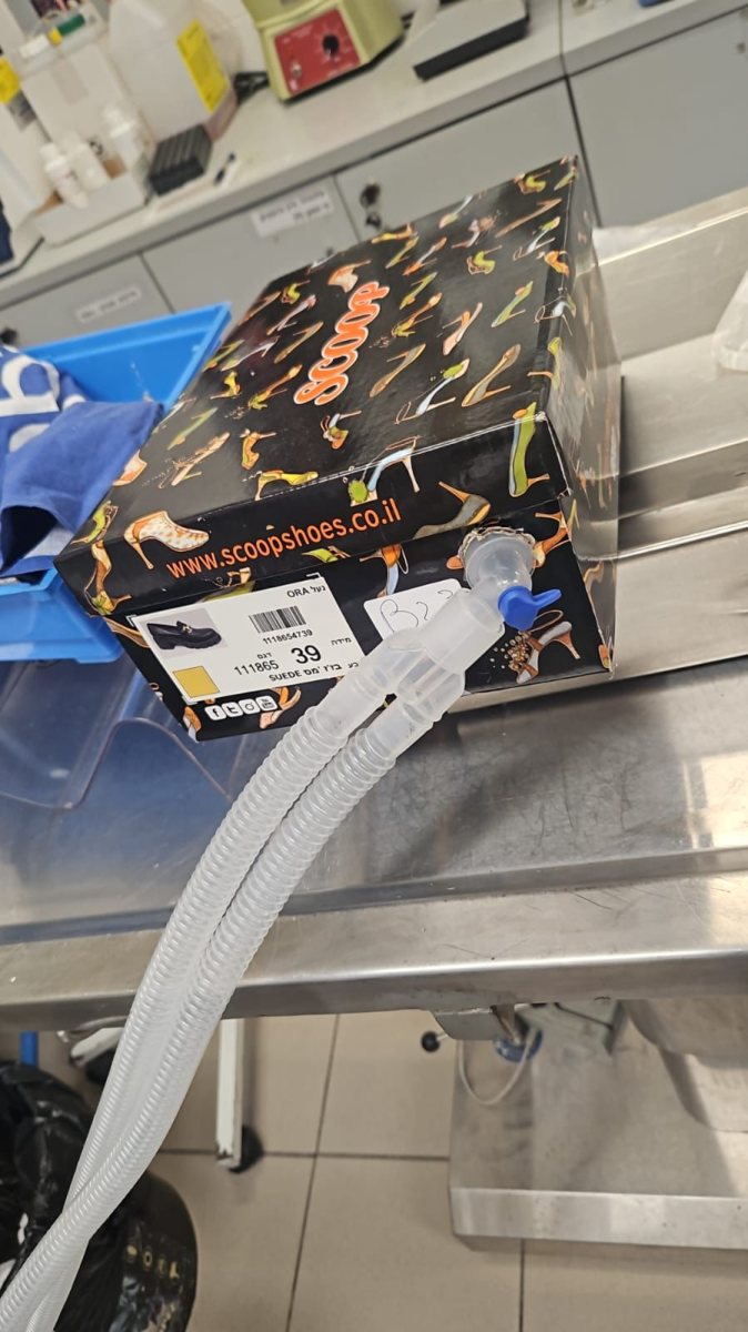 צילום: עיריית אשדוד