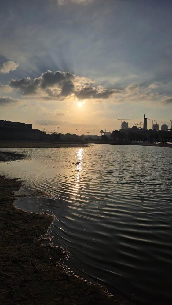 צילום ירון אופיר