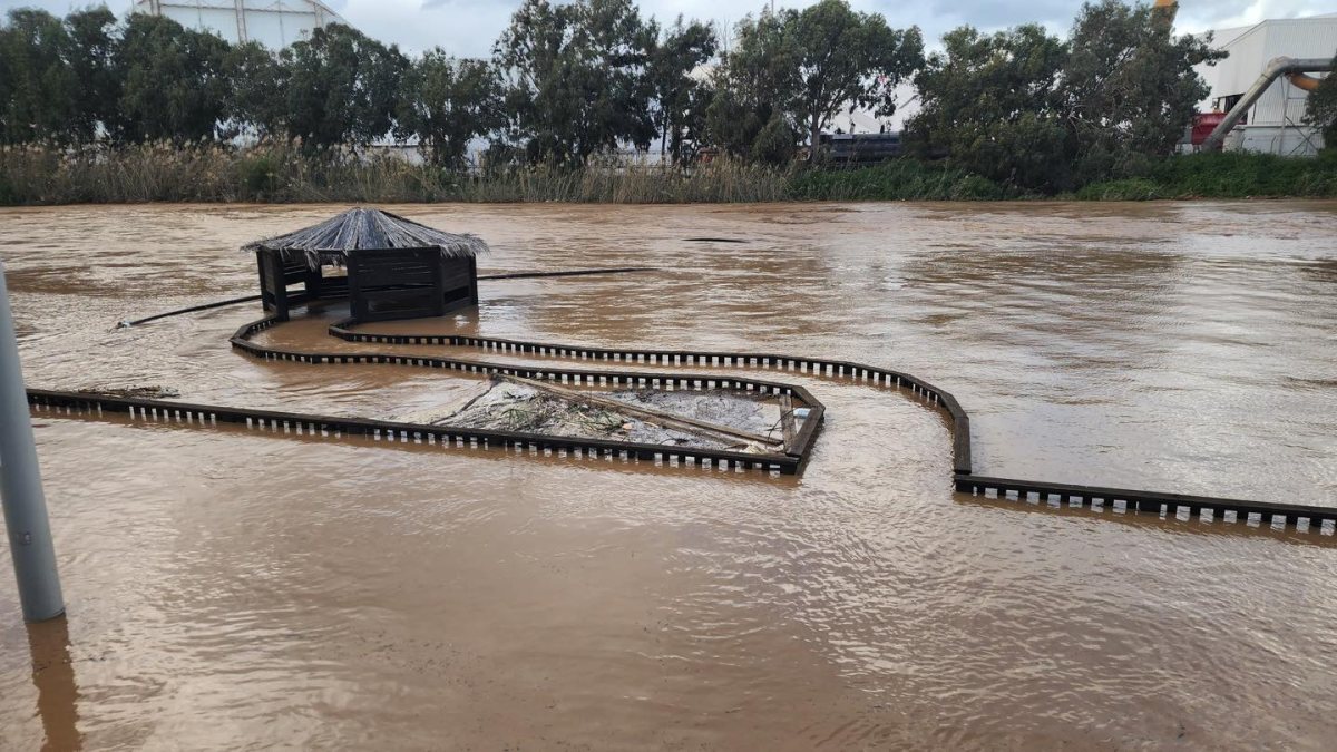 נחל לכיש עלה על גדותיו (צילום: אביעד שיינין) 