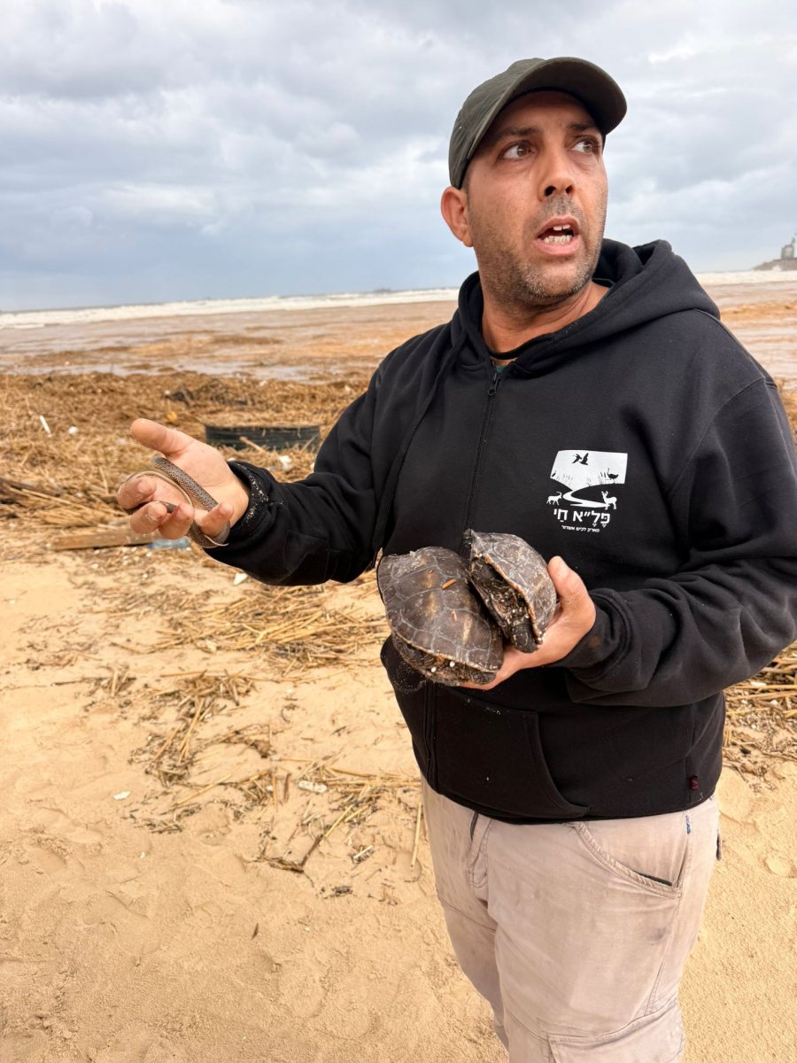 שפך נחל לכיש