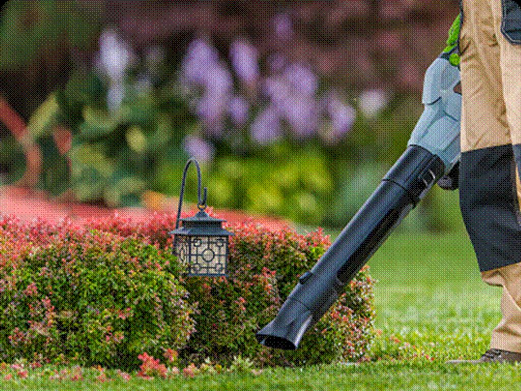 קרדיט התמונה: עמיר בעיר