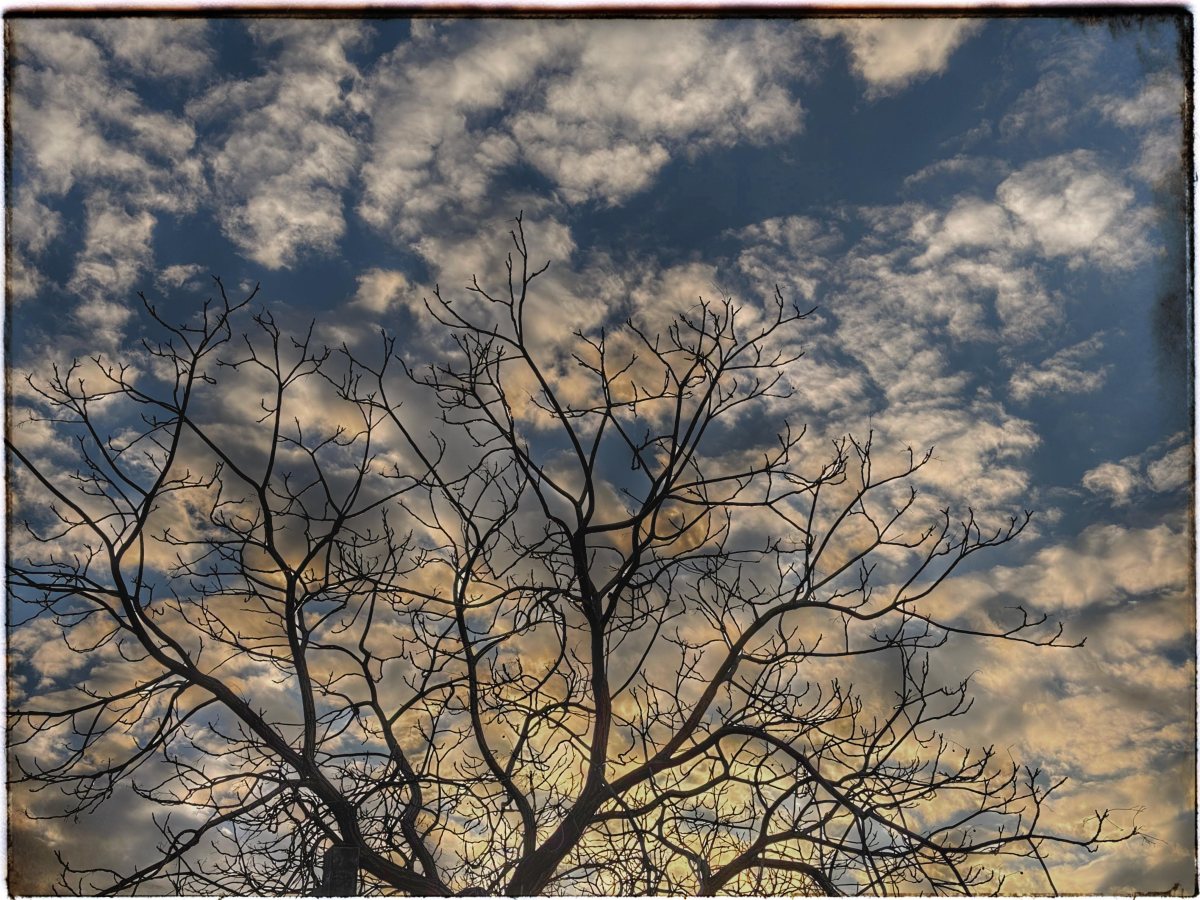 תמונת היום=צילום אורי קריספין