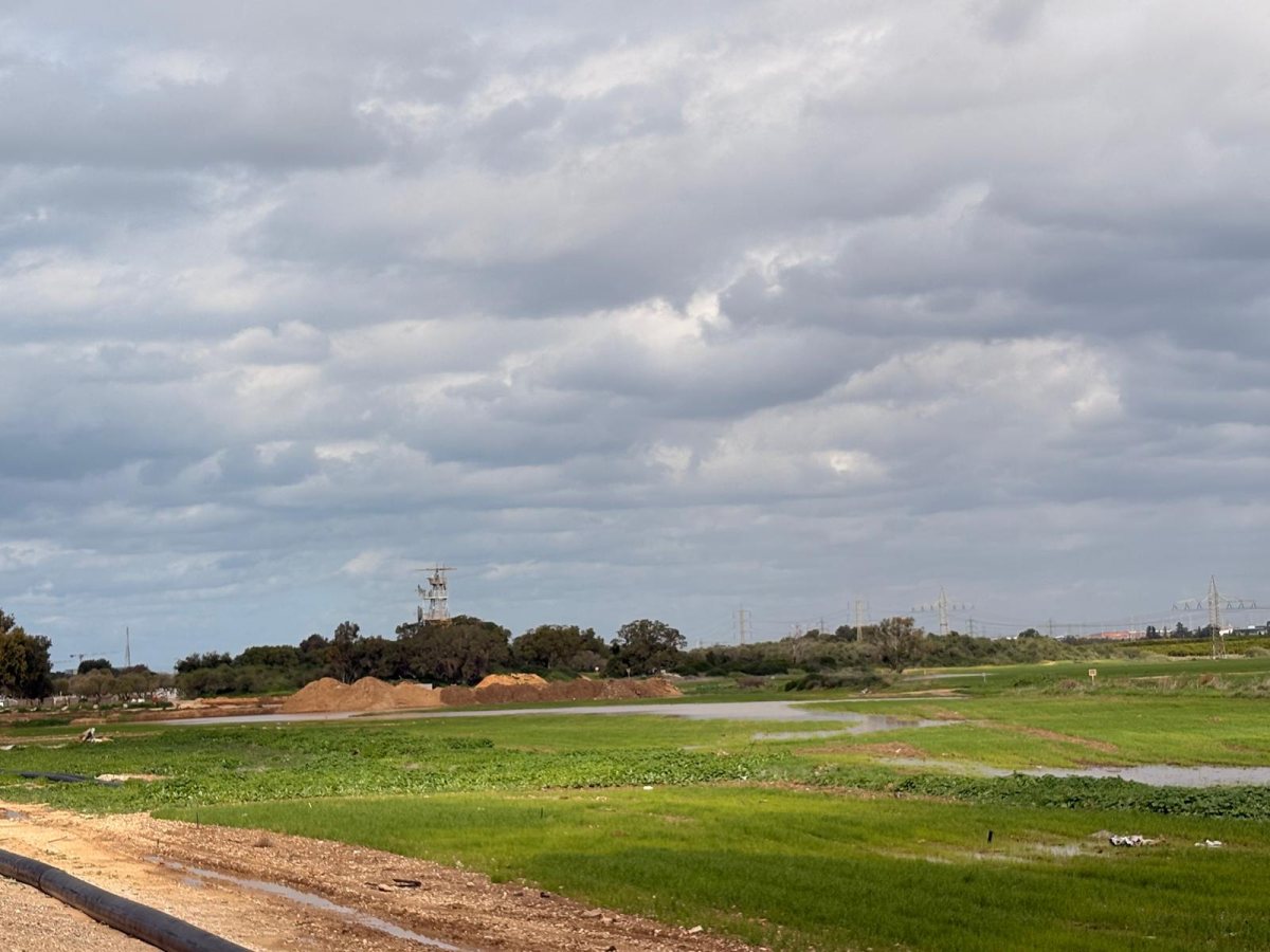 שלוליות טבע שנוצרו אחרי הגשם סמוך לחניון אלתא (אשדוד נט)