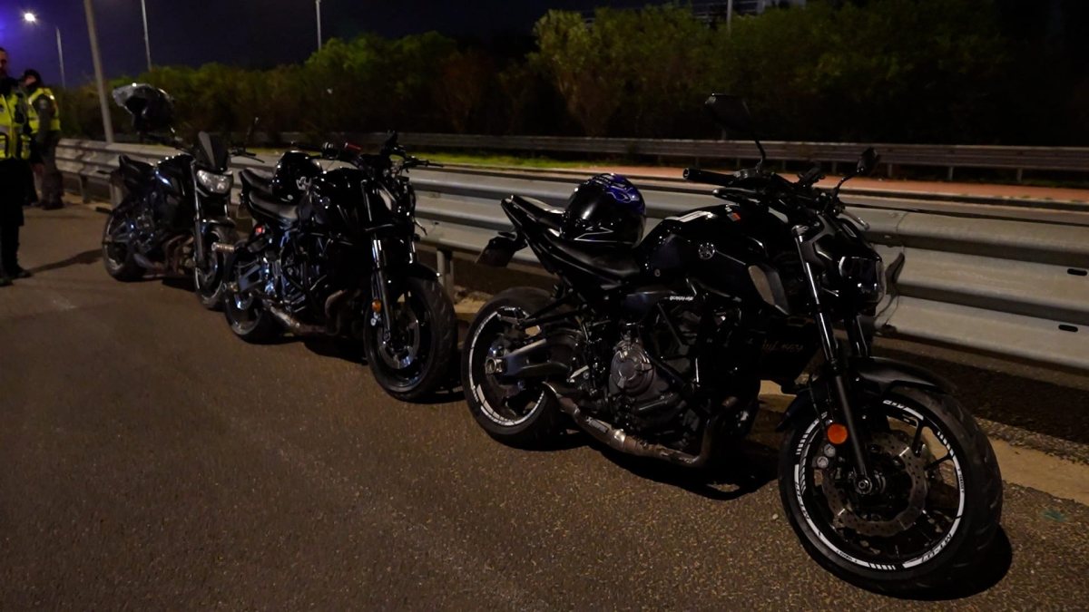 צילום: דוברות המשטרה