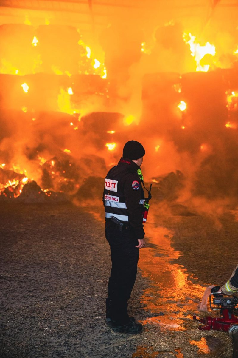 עמית וקנין תיעוד כבה 