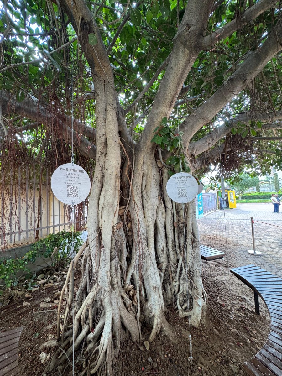 הנצחה לנופלים והנרצחים ממקיף ט׳ אשדוד