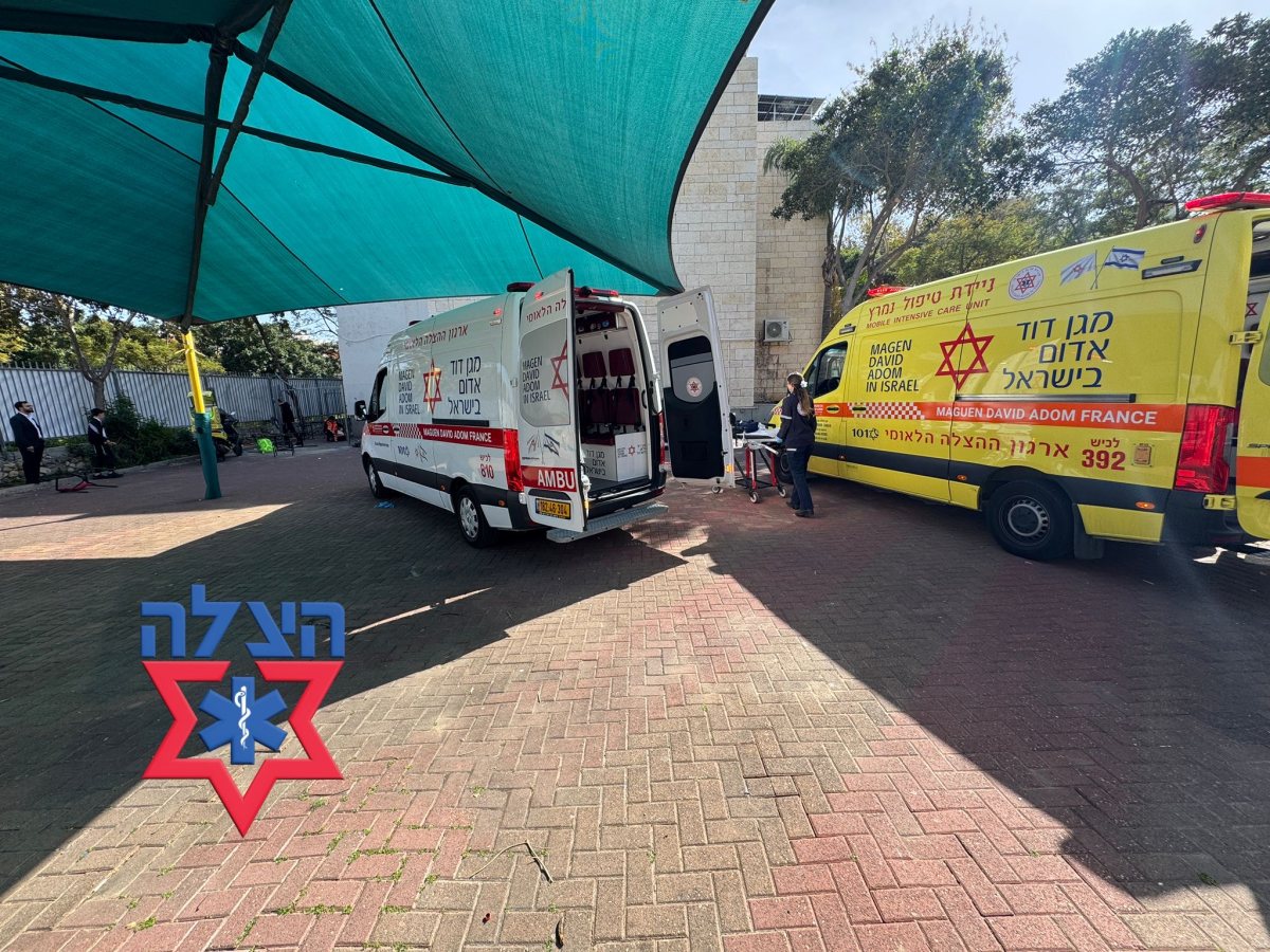 צילום: הצלה