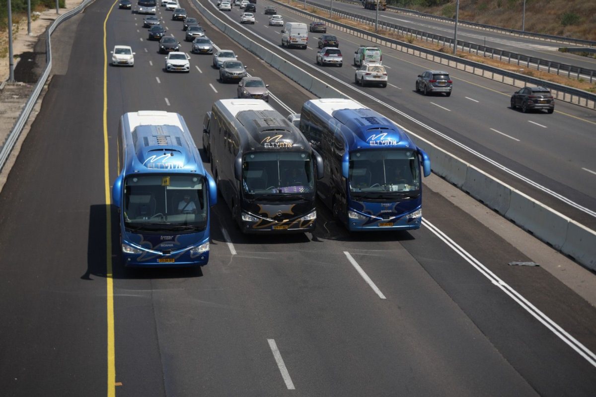 סטודיו קמיליה