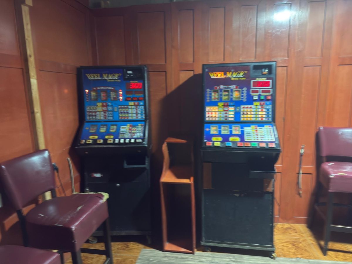 צילום: דוברות המשטרה