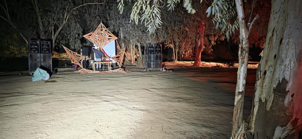 דוברות משטרה