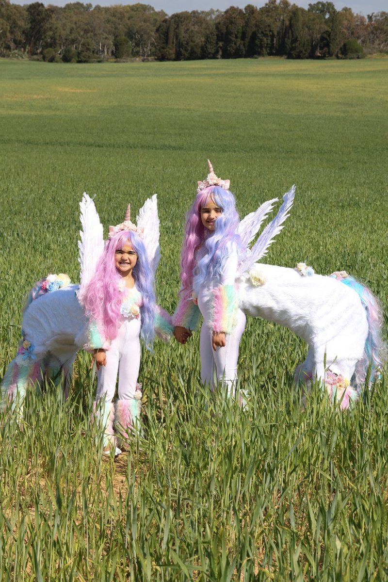 מקום ראשון ילדות חד קרן