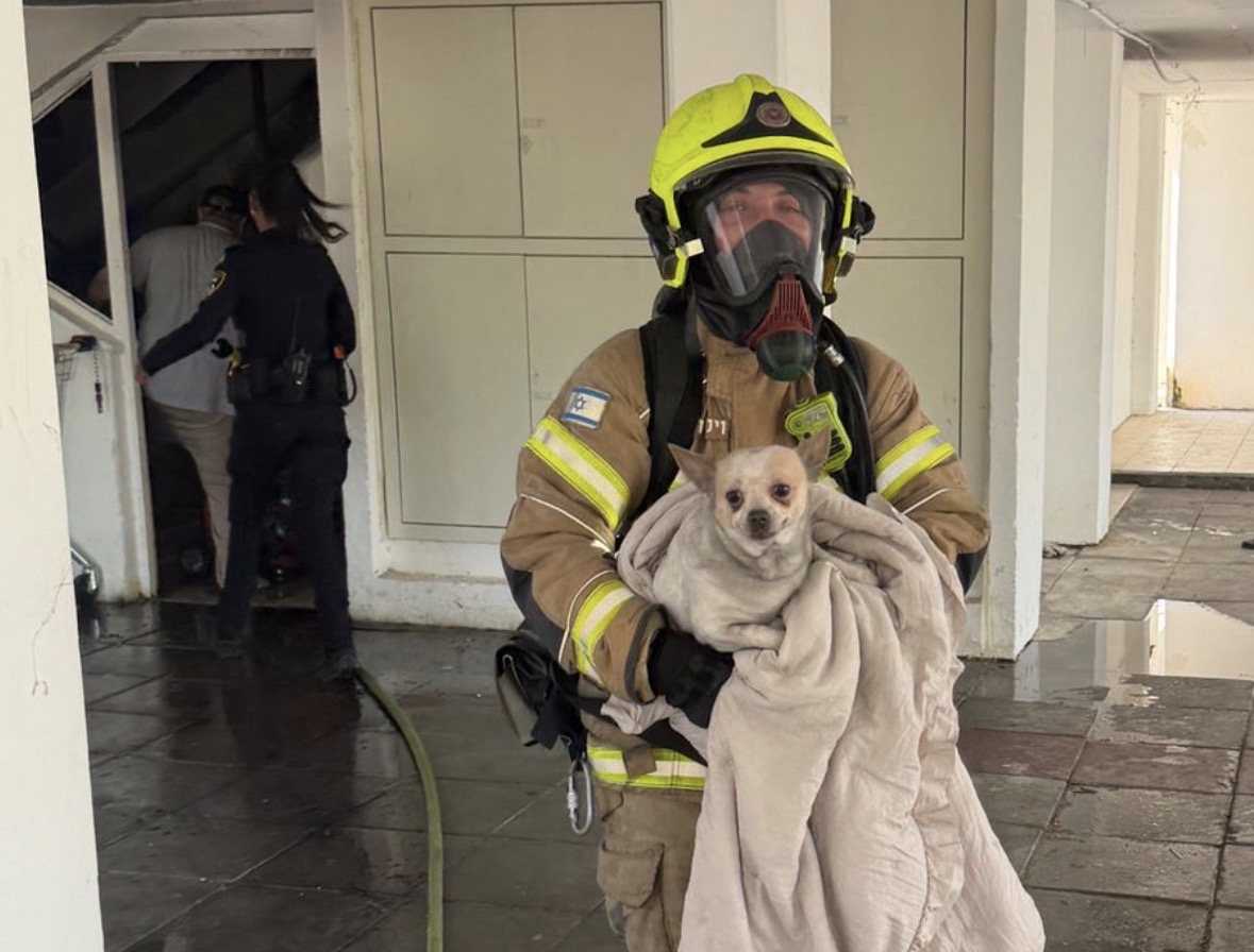 חילוץ כלב מאחת הדירות 