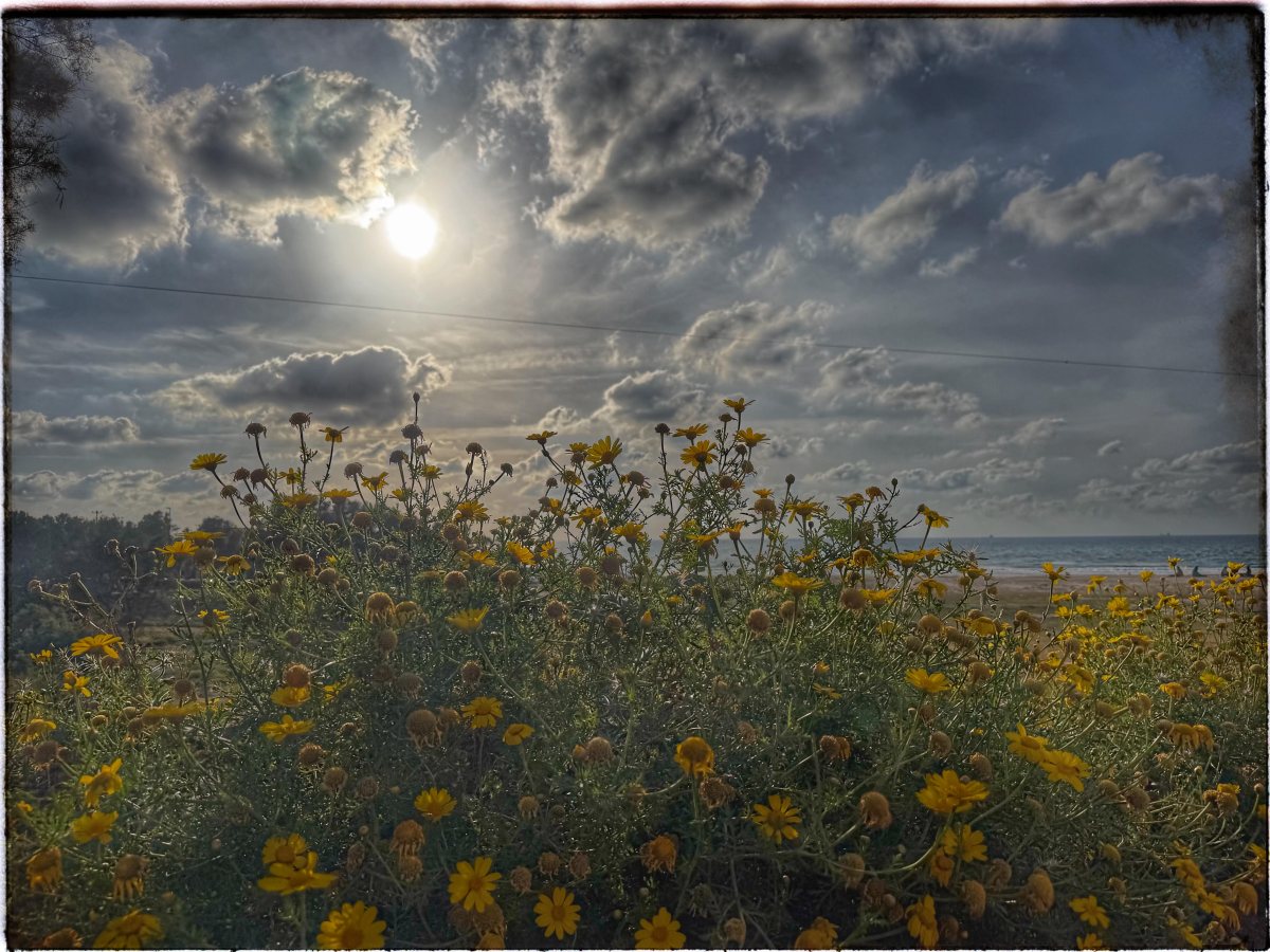 תמונת היום=צילום אורי קריספין