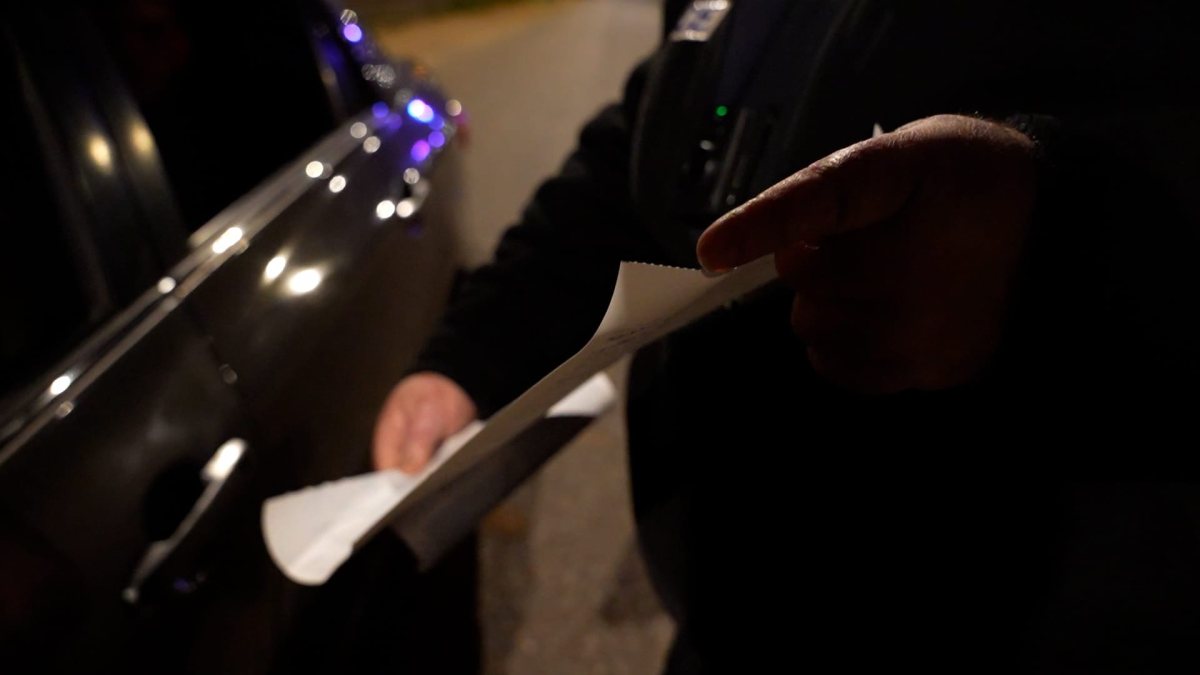 צילום: דוברות המשטרה