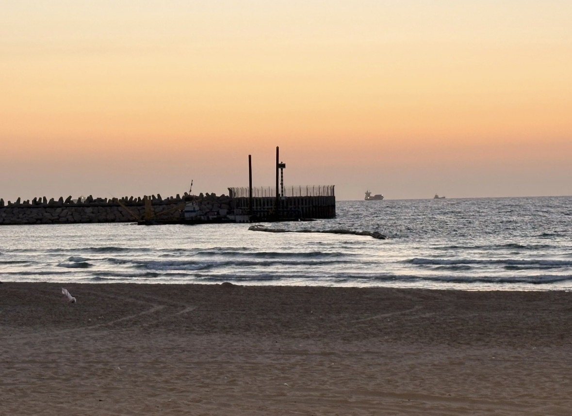 צילום: עופר אשטוקר