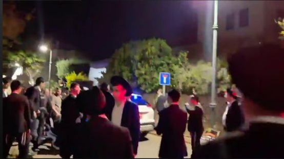 מאות מפגיני הפלג הירושלמי  (צילום: לפי 27א לחוק זכויות יוצרים )