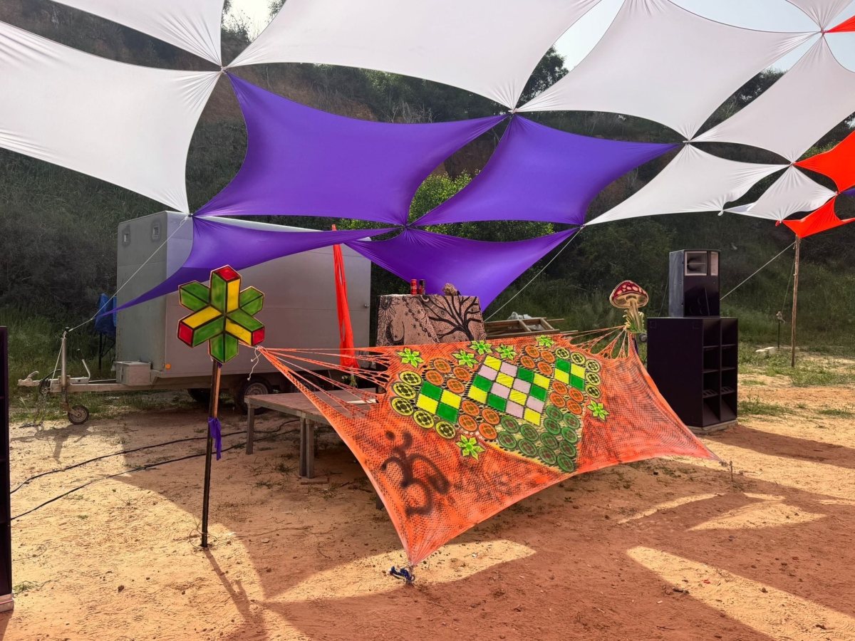 צילום: דוברות המשטרה