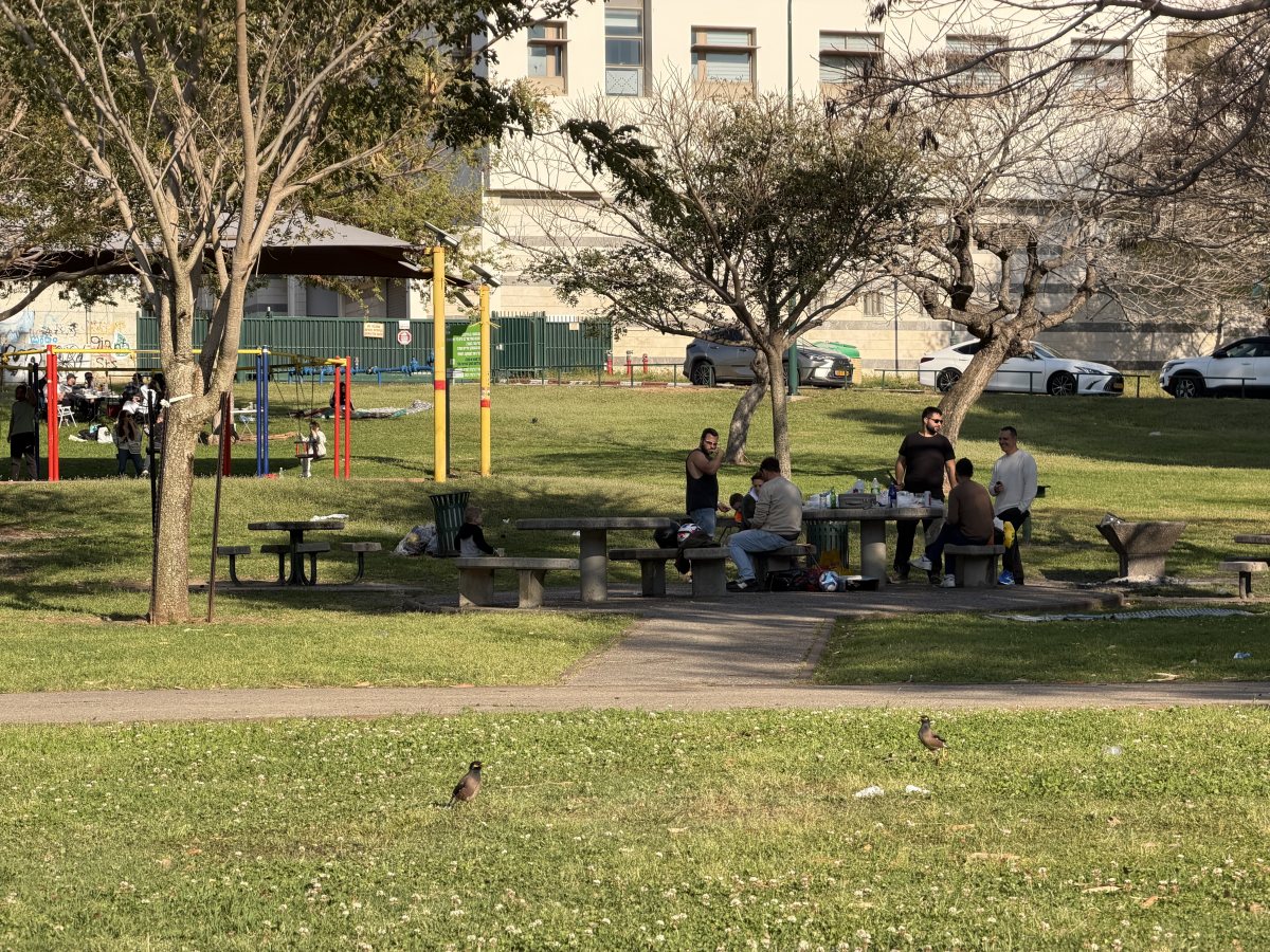 יצאו להתאוורר.צילום אורי קריספין