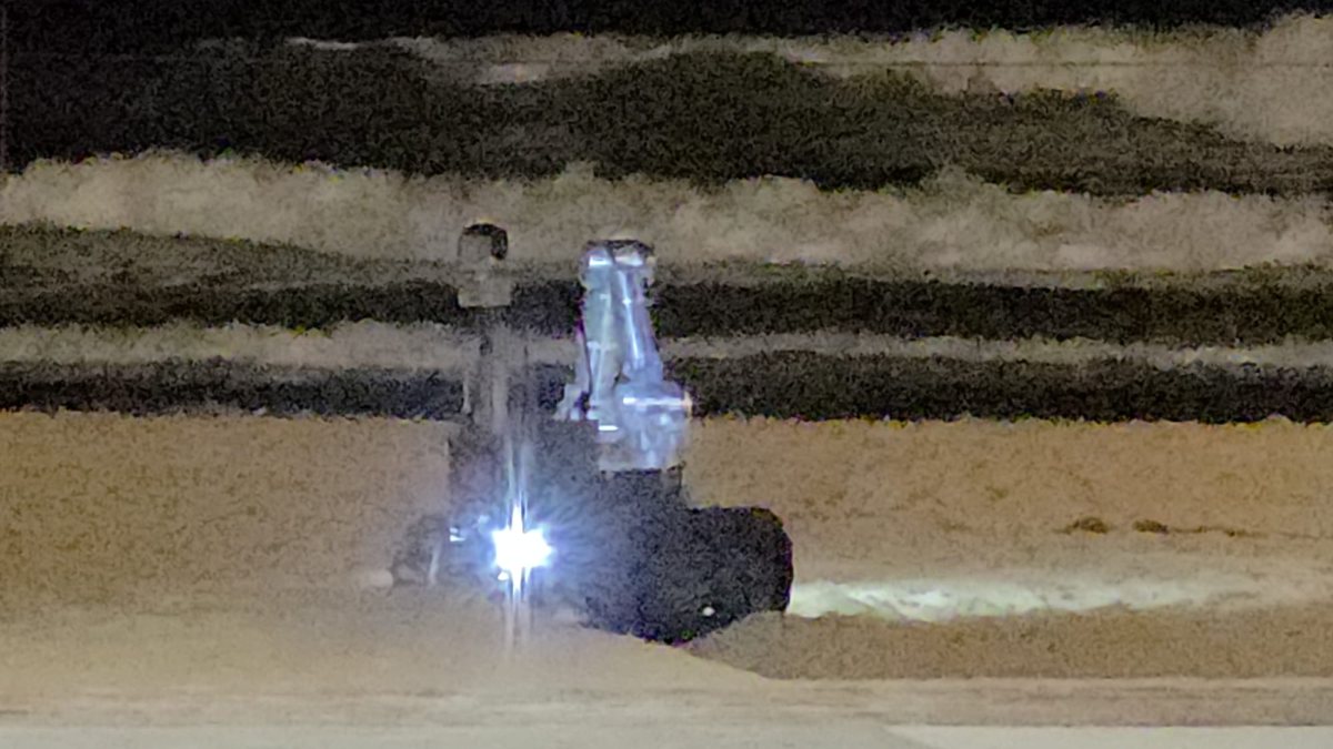 צילום: גורדון מקס