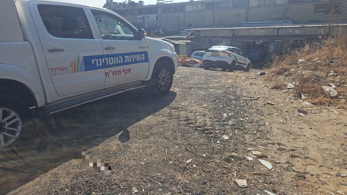 צילום: עיריית אשדוד