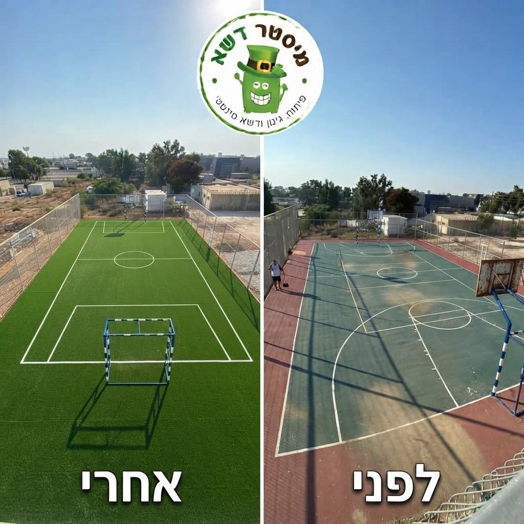 מיסטר דשא