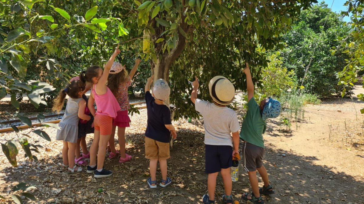 אתר הפרדסנות 1 קרדיט צבי הנרי כהן