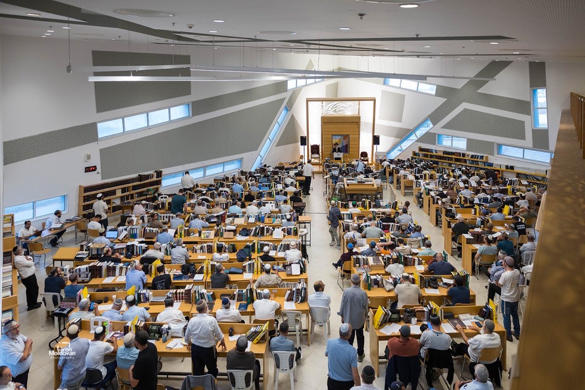 צילום: לירון מולדובן