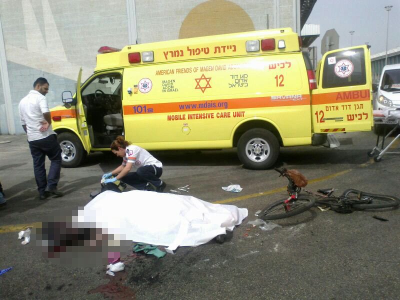 תאונה טרגית בנמל אשדוד.  צילום: צביקה לבל