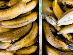 אונייה קולומביאנית בקשה לפרוק כ-250 טון של בננות רקובות בישראל 