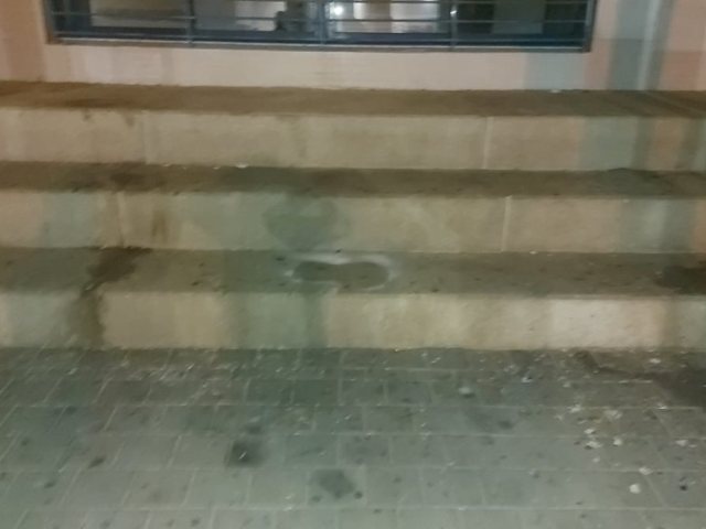 האזור בו ישבו הנערים. צילום באדיבות האם