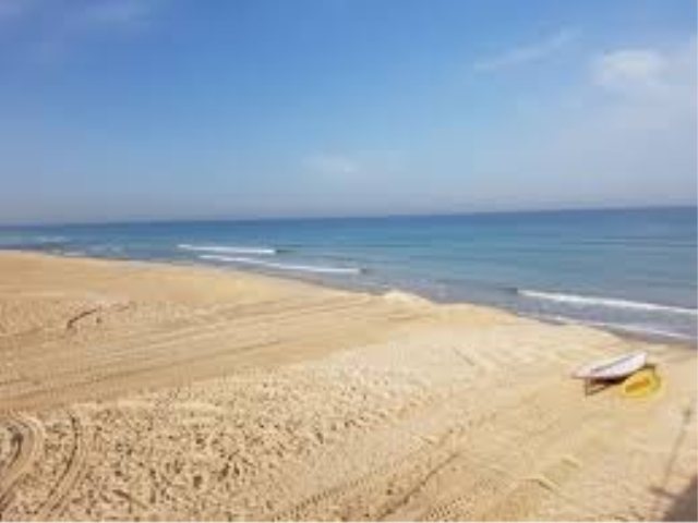 צילום: ארכיון