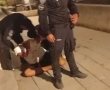 מעצר מוצדק או שימוש מופרז בכח? האירוע באשדוד שהסתיים בבית החולים (וידאו)