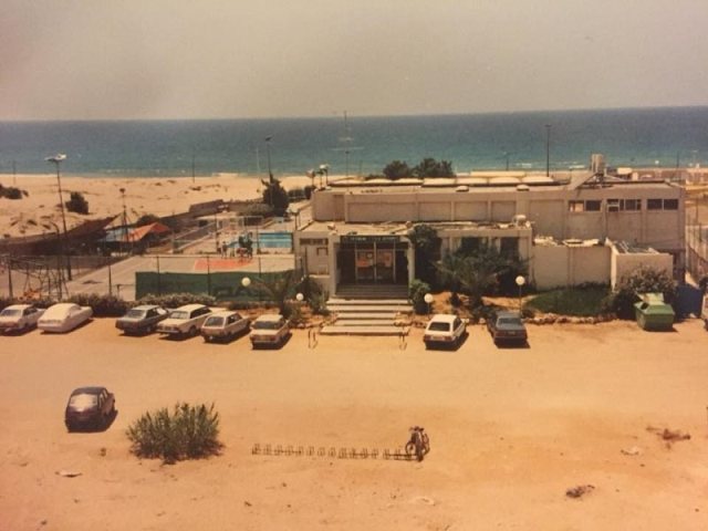 צילום: רמי דיין