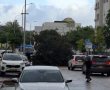 עץ גדול קרס ברובע ז' וחסם את הכביש; בנס איש לא נפגע 