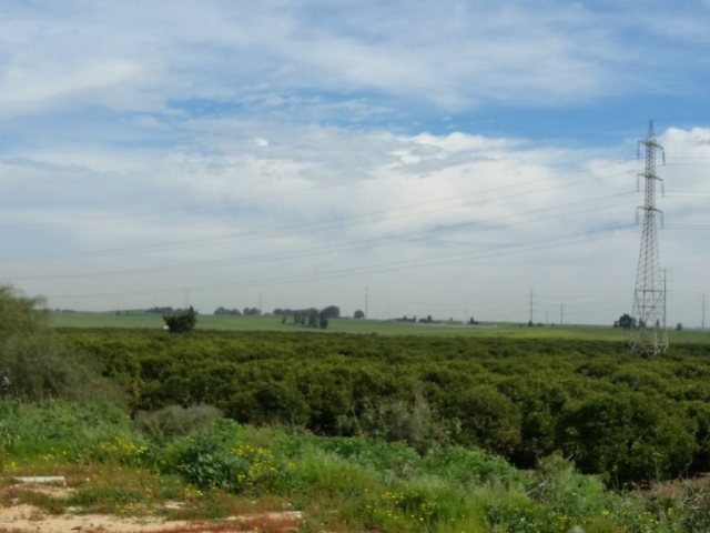 האזור בו נמכרות הקרקעות