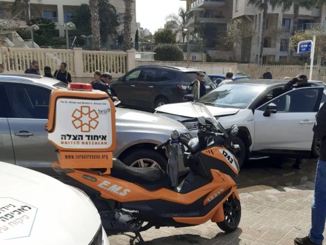 צילום: אברהם פורגס 