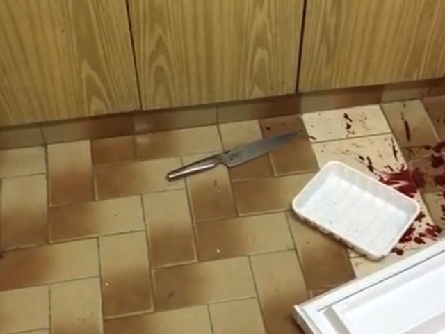 צילום: דוברות המשטרה