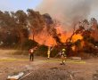 שריפת גדולה באזור גן אלישבע בשכונת חברת חשמל (וידאו)