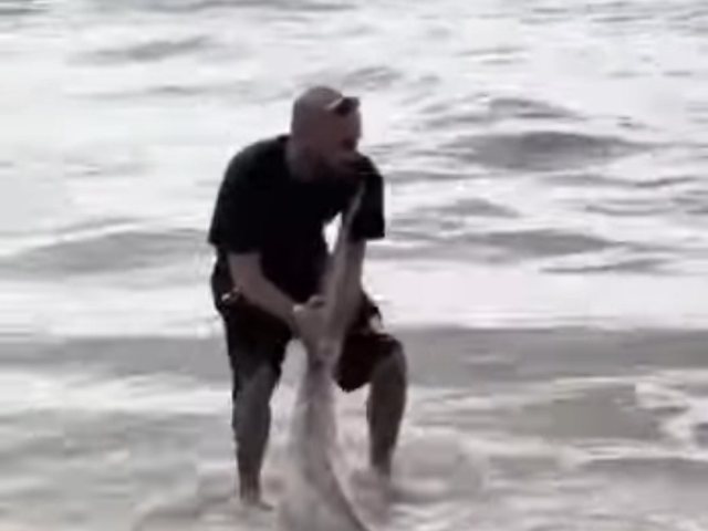 תיעוד רשתות חברתיות 