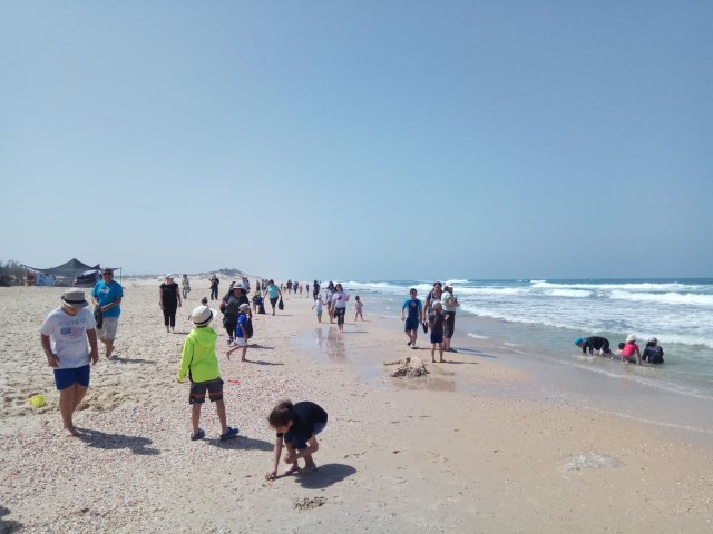 צילום: ענבר מרגוליס