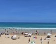 צילום גיא אוחיון